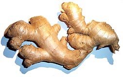Jahe (Zingiber officinale)